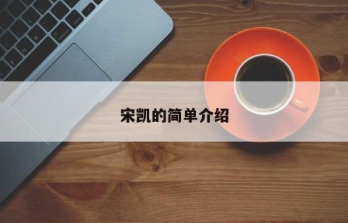 宋凯的简单介绍